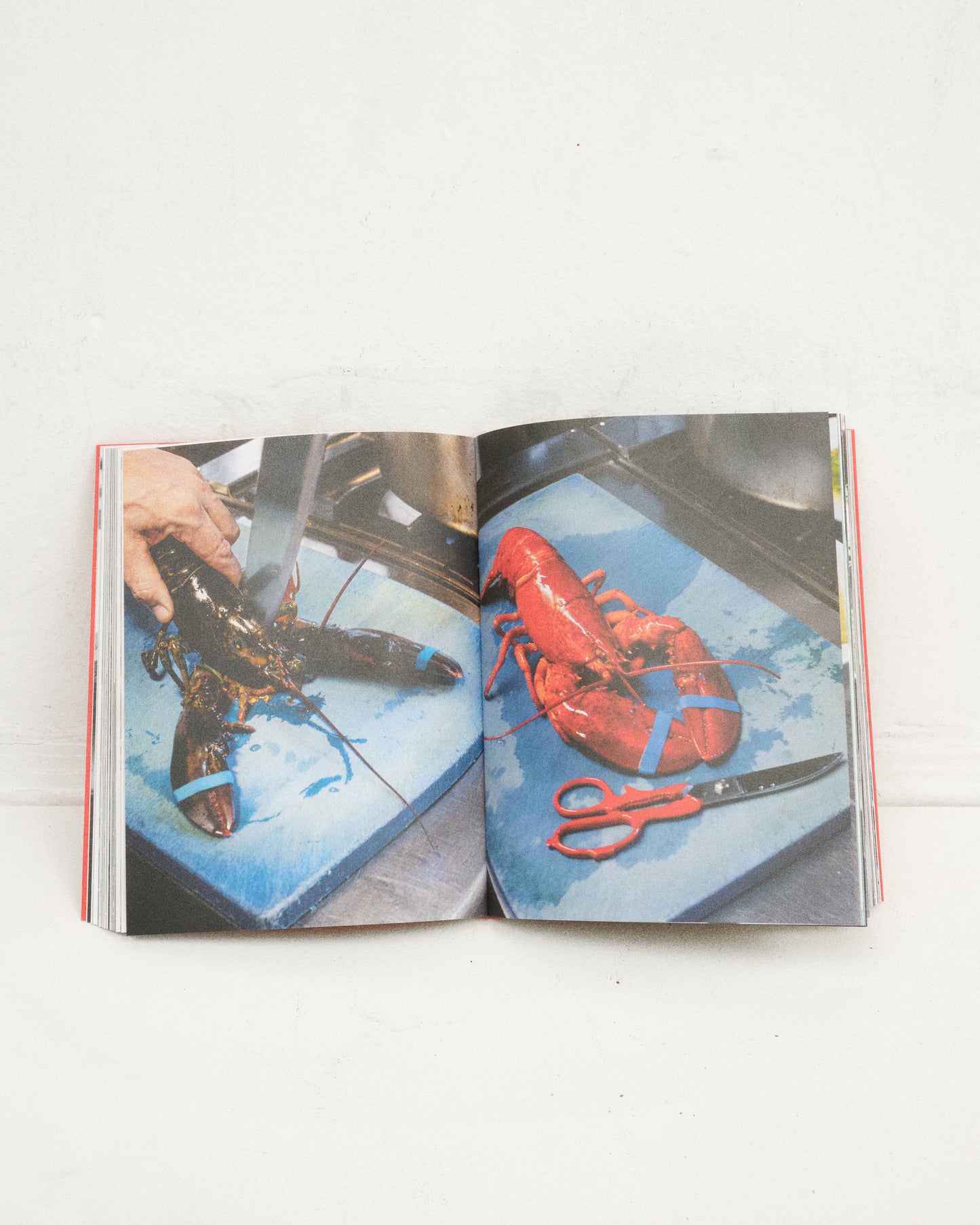 OSTERIA 16 COOKBOOK 2