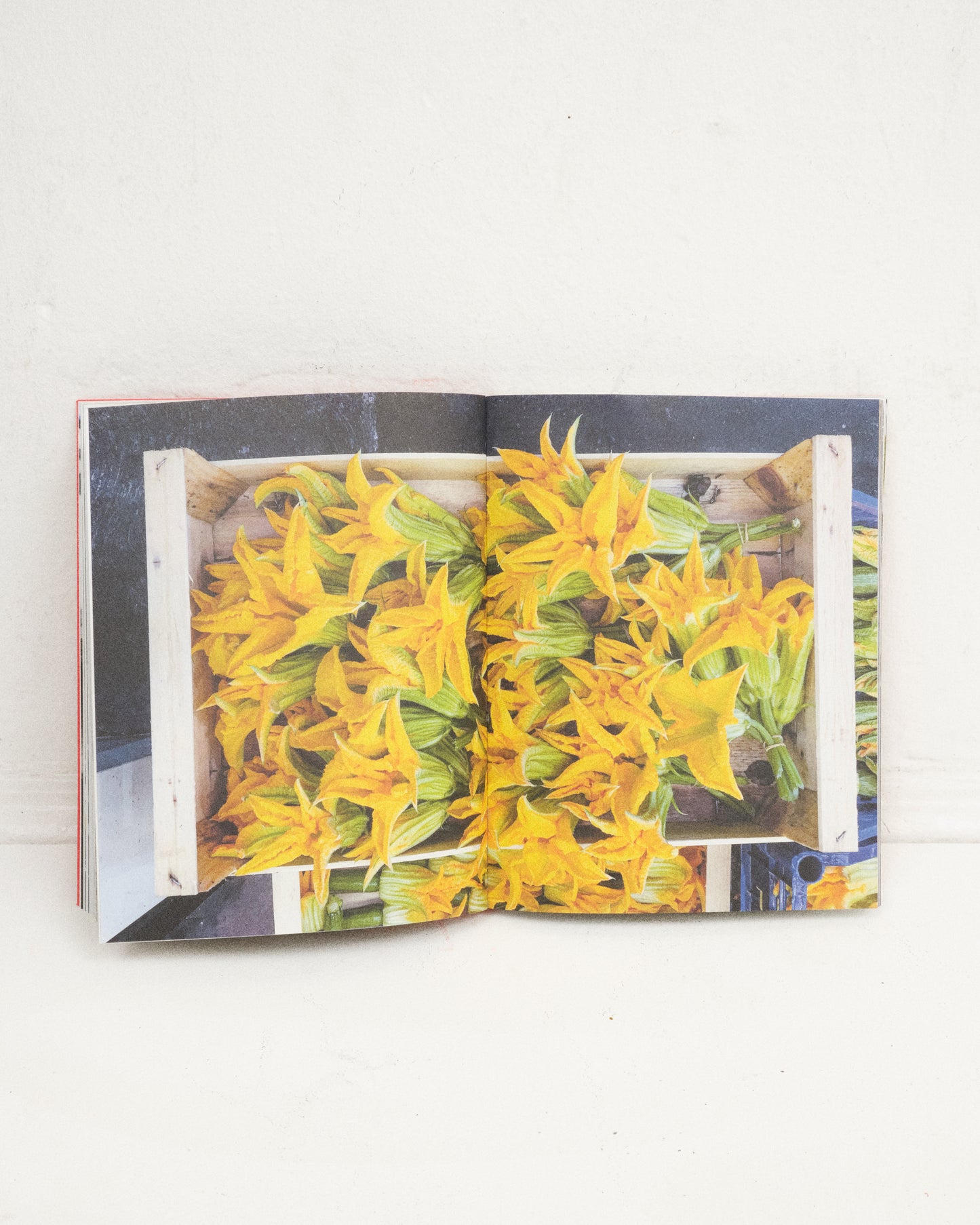 OSTERIA 16 COOKBOOK 2